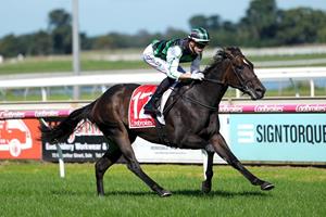 ALLEVIATE HAS NO WORRIES